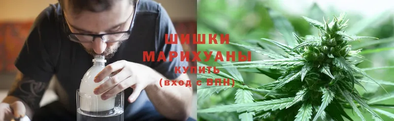 цена наркотик  Орехово-Зуево  Бошки марихуана White Widow 